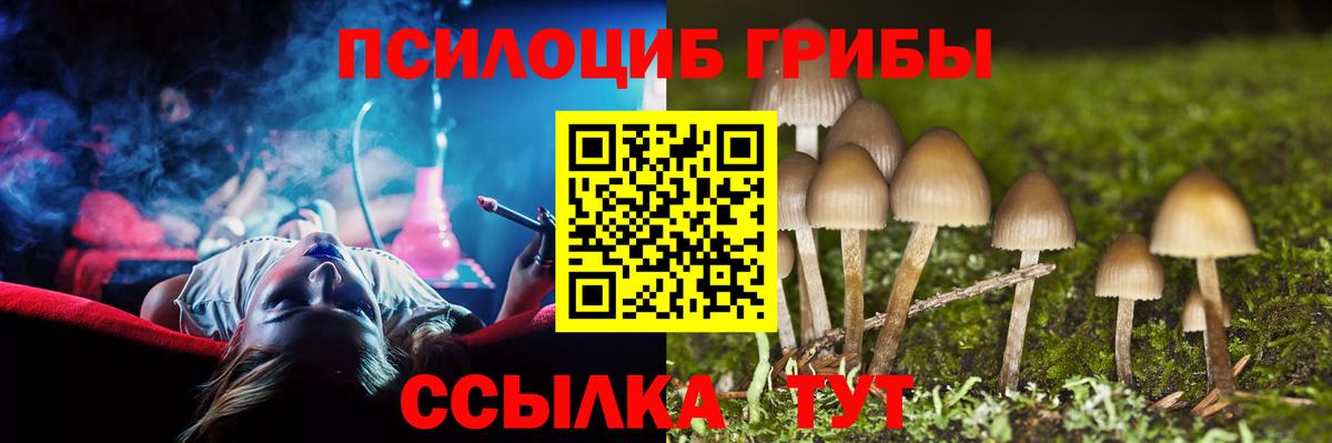 Новотроицк  Псилоцибиновые грибы Psilocybine cubensis  Вход с VPN  Галлюциногенные грибы Psilocybine cubensis 